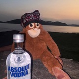 Absolut X Script