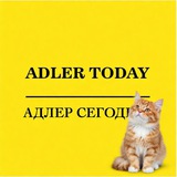 Чат Адлер Сегодня