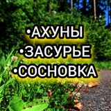 АХУНЫ-ЗАСУРЬЕ-СОСНОВКА