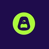 Airoom Store