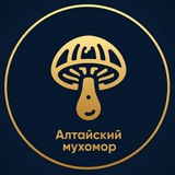 Алтайский Мухомор