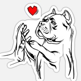 Американский булли Chat 18+