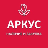 АРКУС | Цветы оптом | Закупка | Наличие 🌷