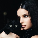 сентенции алины