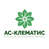 🌸АС-Клематис🌸 Александрова Светлана