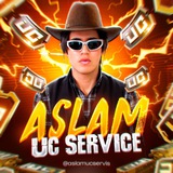 ASLAM UC