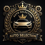 Auto Selection (Import From EU)