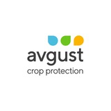 Компания «Август»