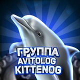 АВИТО ПФ / ОТЗЫВЫ / ЗАРАБОТОК