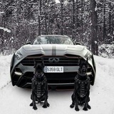 🇷🇺 АВТОРЫНОК 🇷🇺 !!! ПРОБЛЕМНЫХ-АВТО-РФ 🇷🇺