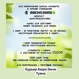 🍀Туяна Курьер Аюра Эмчи 🍀
