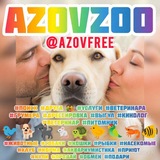 Азовский Зоомир 🐩😻🦜🐠🦋🦎 AzovZoo Брд Млт#
