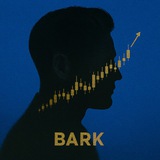 Барк про деньги и риски — YARDcap