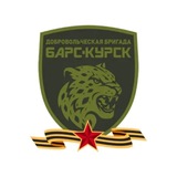 БАРС-Курск