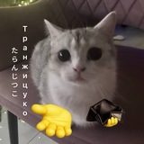 Транжицуко (•͈⌔•͈⑅)