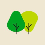 PLANTS CHANNEL