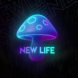 НОВАЯ ЖИЗНЬ/Fly agaric chat