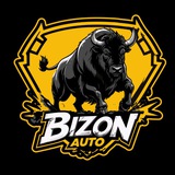 BIZON-AUTO-SPB