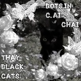 𝒮𝓉𝓇𝒶𝓎 𝒷𝓁𝒶𝒸𝓀 𝒸𝒶𝓉𝓈.🐾