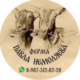 ПАВЕЛ НЕМОЛЯЕВ