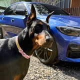 BMW 3 G20 Чат