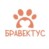 БРАВЕКТУС