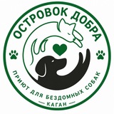 ЗООВОЛОНТЁРЫ БУХАРА-КАГАН 🐶🐾