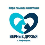 Чат Бюро помощи животным "Верные друзья"