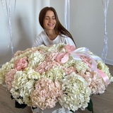 By Priporova Alina