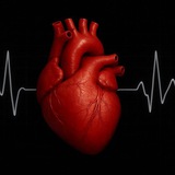 Cardiologia🫀