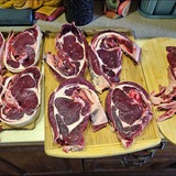 Carnivore Chat