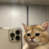 cat core [strange catposting^^]
