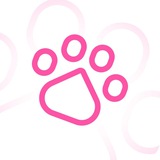 Cats VPN — Канал