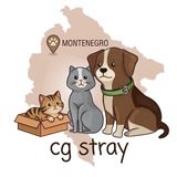 Зооволонтеры Черногории_CG Stray