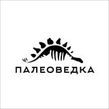 Чат клуба ПАЛЕОВЕДКА