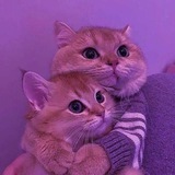 Взаимные подписки 🌸 реакции