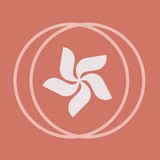 Betonmaster Покупки в Китае