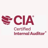 Internal Auditor Success