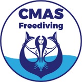 CMAS в России, ФПСР - чат