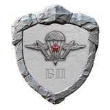 БП (Боевая Подготовка) СпН, Разведка, ВДВ, ...