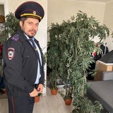 Трэш, угар и вызова