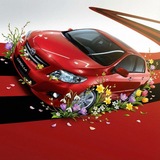 Мир Тойота Королла / TOYOTA COROLLA NATION ️