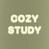 Cozy study 📚