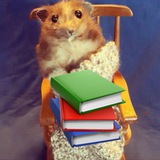 Уютный разбирает | Инвестиции