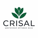 CRISAL | Цветы оптом | База | Москва