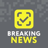 Честный ЗНАК breaking news