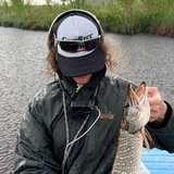 curlygotcha