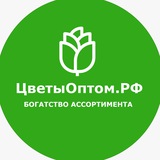 Цветы Оптом.РФ