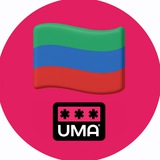 Дагестан. Чат