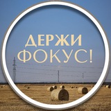 Держи Фокус/Видео/Reels/Фото